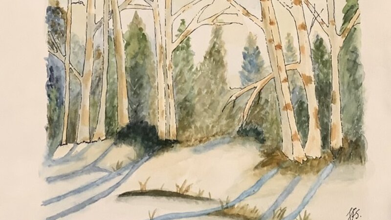 Winter Scene