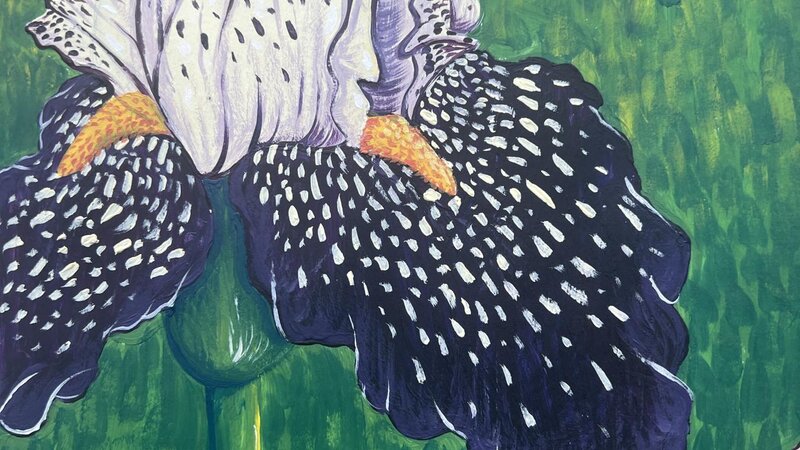 A painting of an Iris