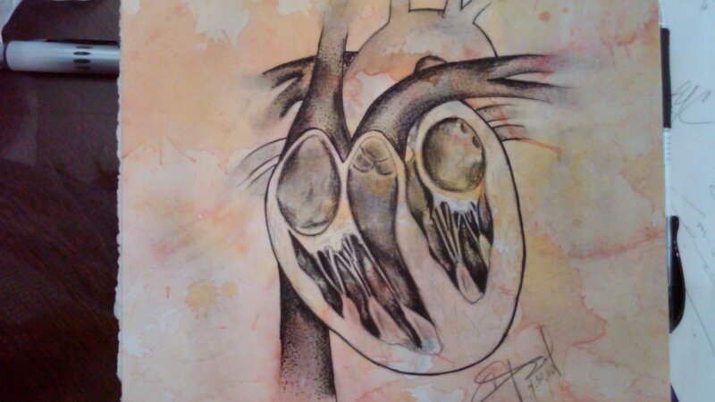 (Part of...) Donum Vitae...