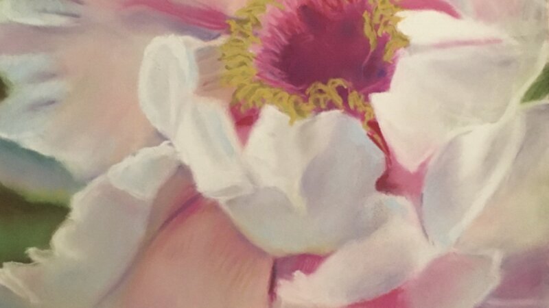 Carol Gooberman, Beautiful Bloom, Pastel