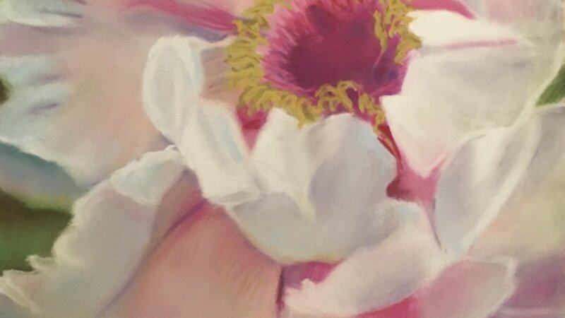 Carol Gooberman, Beautiful Bloom, Pastel
