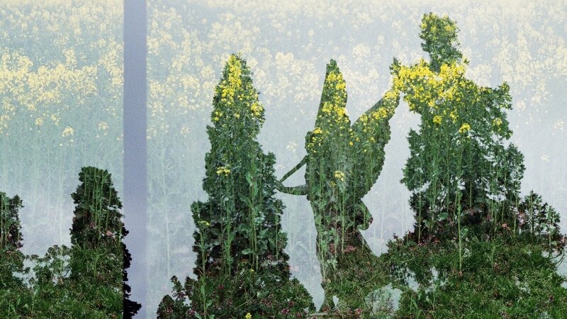 Painting Powerscourt