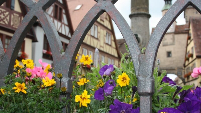 flowers in the foreground