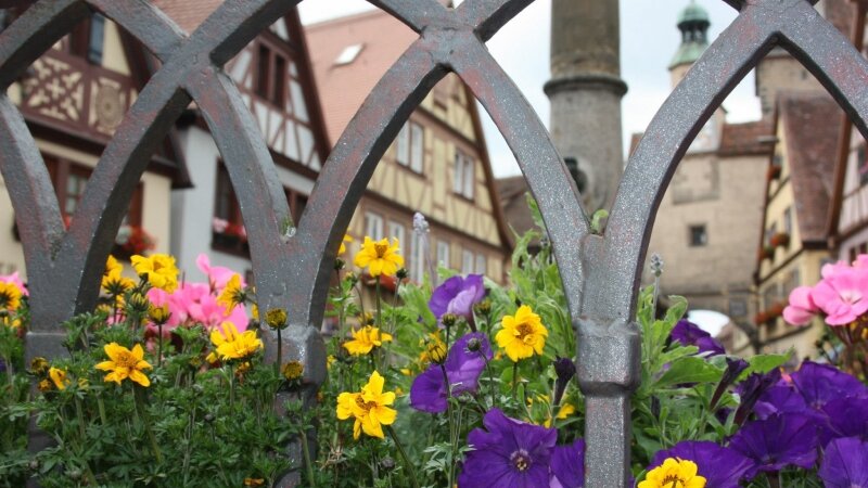 flowers in the foreground