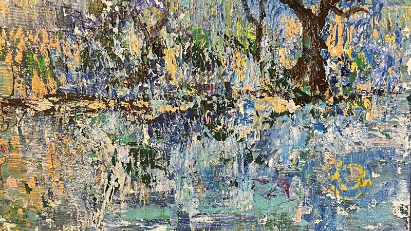 Tree Without Leaves In The Forest 