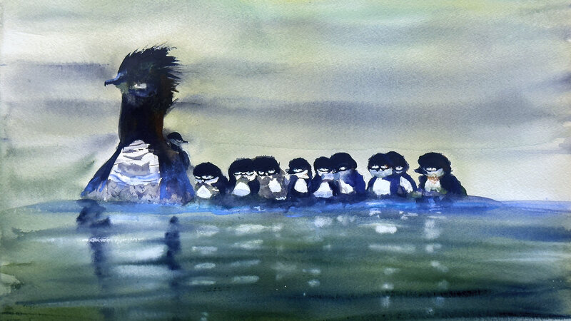 Ducks swimming, Common Merganser mother with Brood of chicks