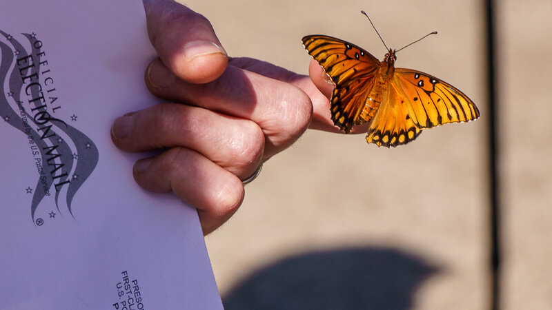Butterfly on a finger, hand holding envelope