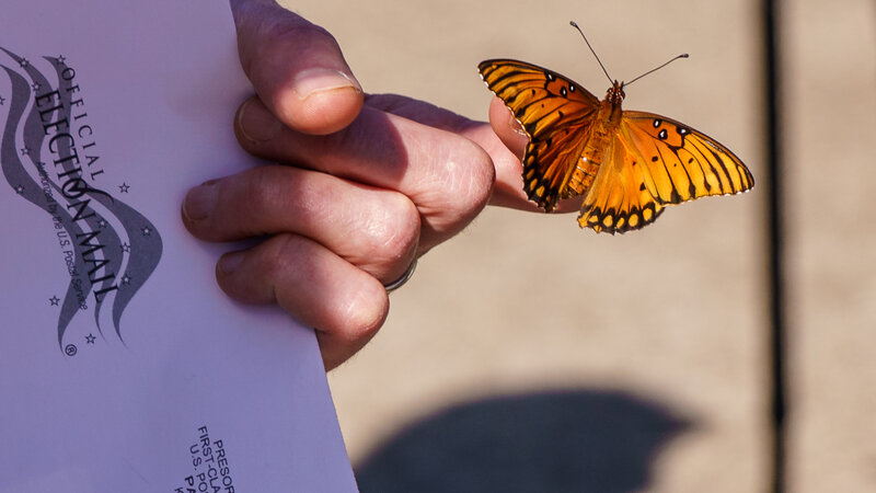 Butterfly on a finger, hand holding envelope