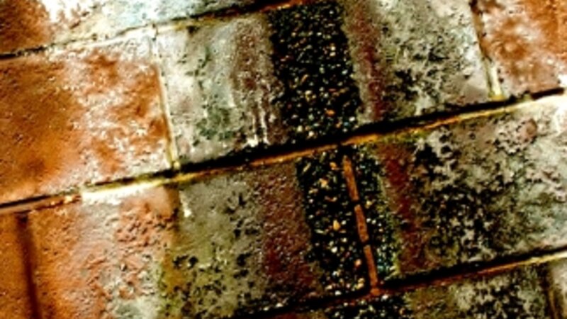 Acid Rain