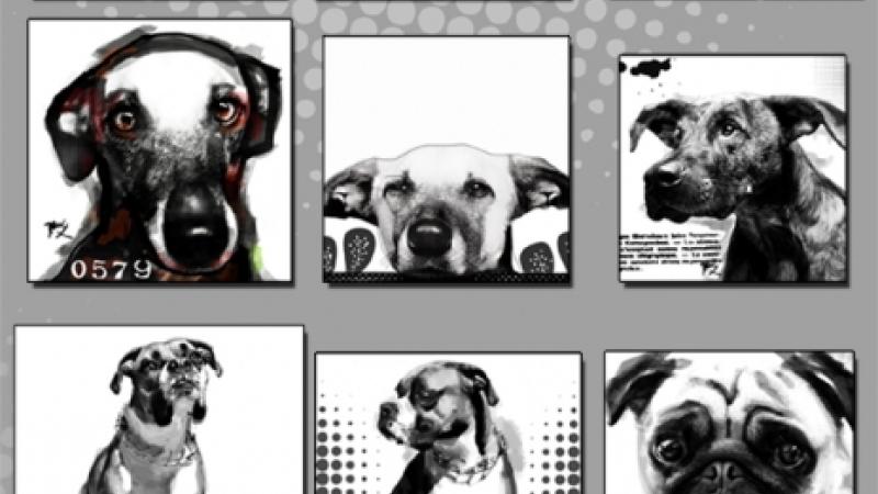 Dog Art
