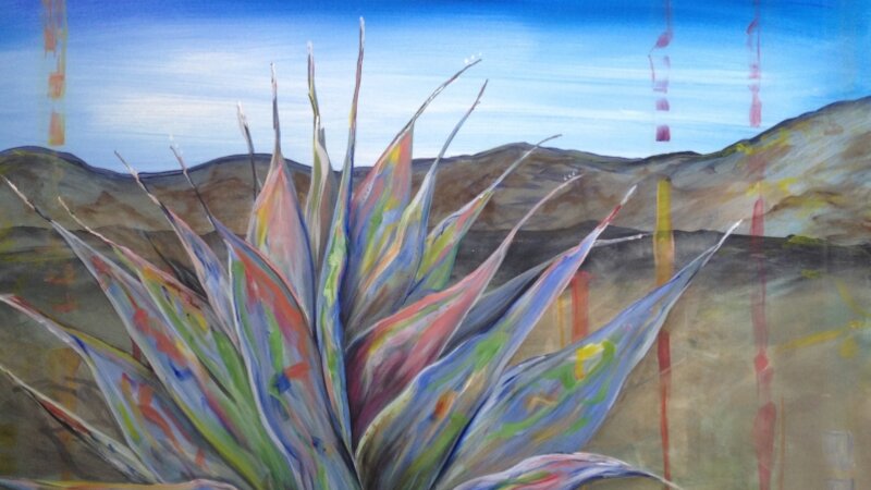 Agave at Big Bend