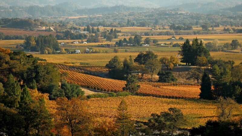 Alexander Valley Harvest Autumn
