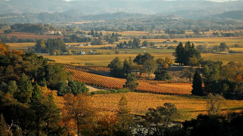 Alexander Valley Harvest Autumn
