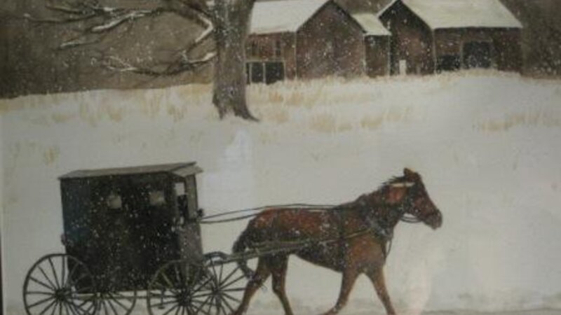 "Amish Buggy"