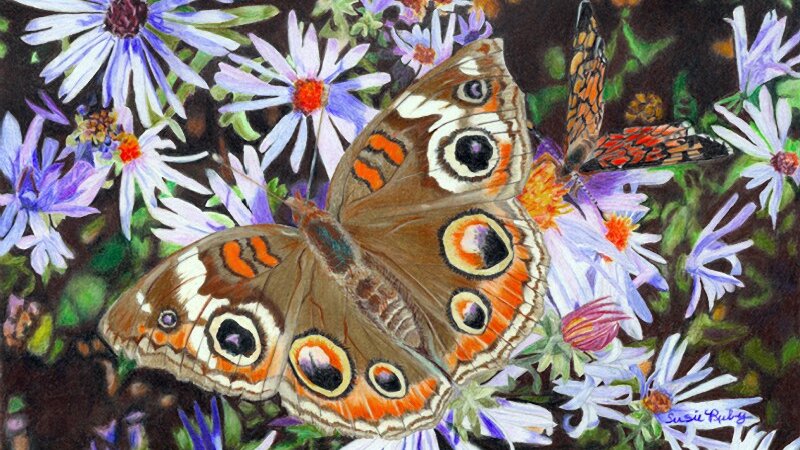 An Uncommon Fall Day