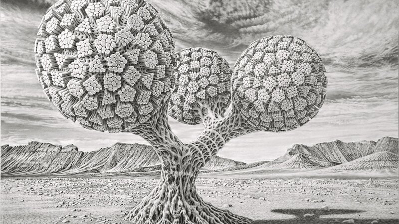 Phytotessellost  Robot 47