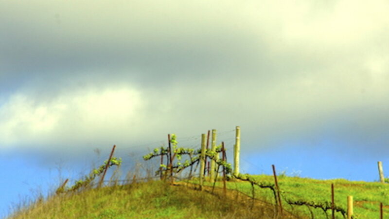 Cloud Kiss Hill