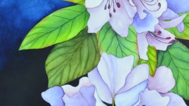 Arlene's Garden Beauty