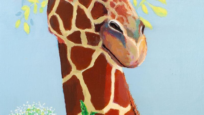 African Princess- 2023