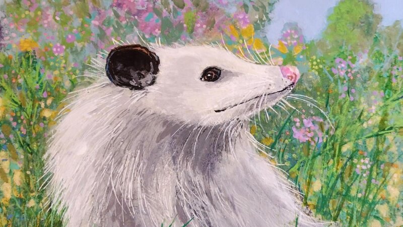Petal the Possum-2023