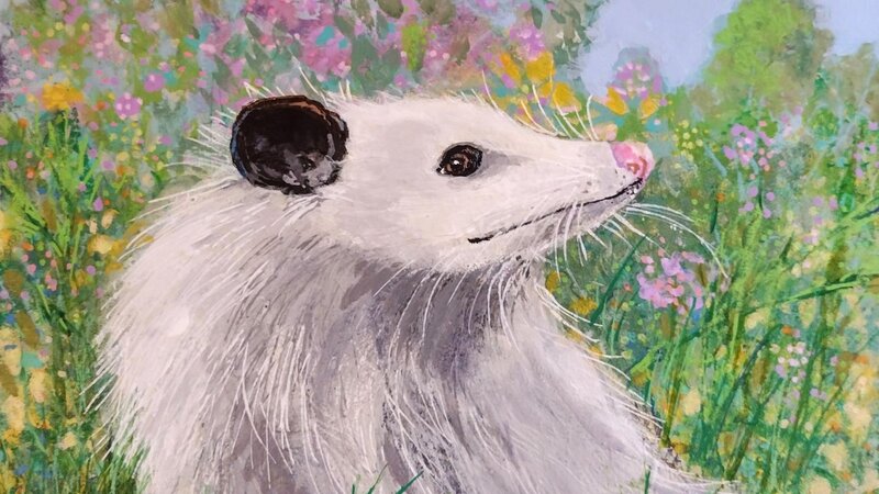 Petal the Possum-2023