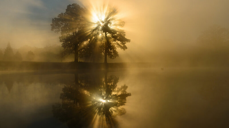 Autumn Sunrise