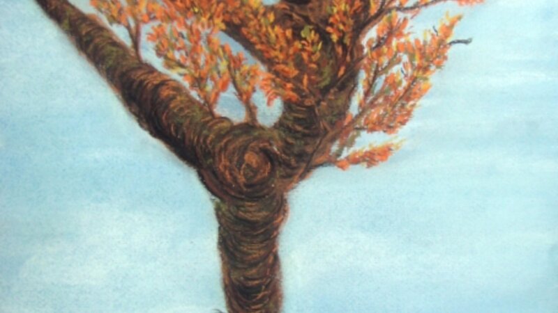 Les Ballet Des Arbres IV