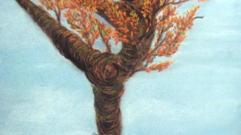 Les Ballet Des Arbres IV