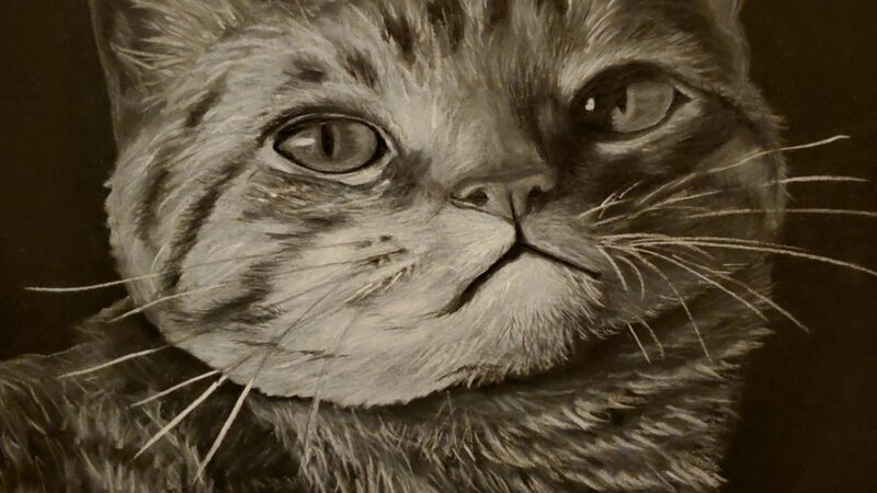 A tabby cat drawn in white charcoal on black paper.