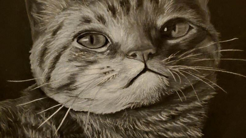 A tabby cat drawn in white charcoal on black paper.