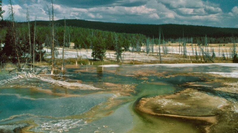 Yellowstone 