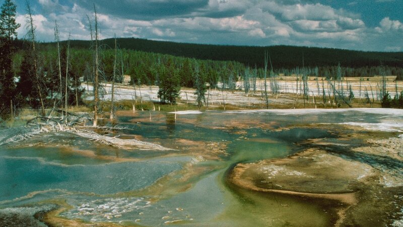 Yellowstone 