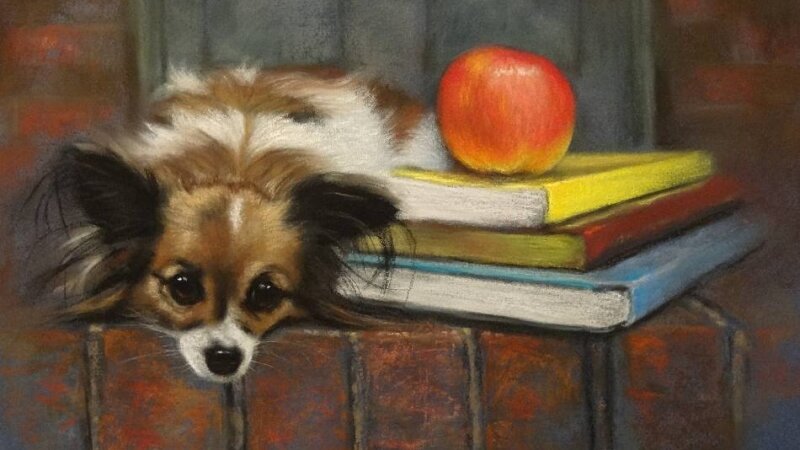 Back to School Blues