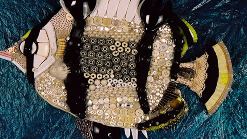 Banded Butterfly