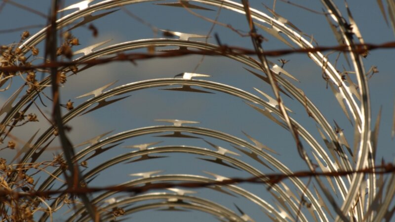 Barbed Wire 