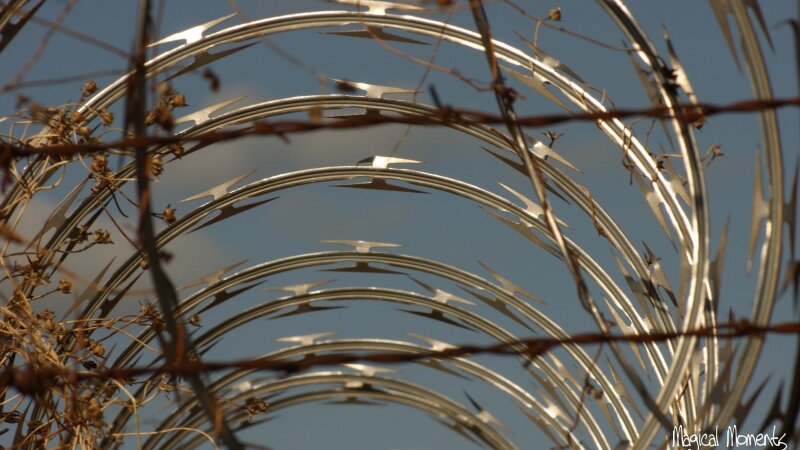 Barbed Wire 