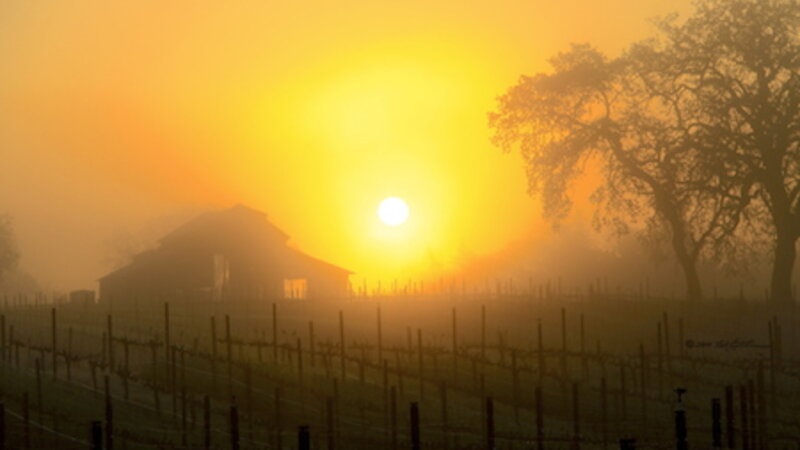 Vineyard Barn Sunrise