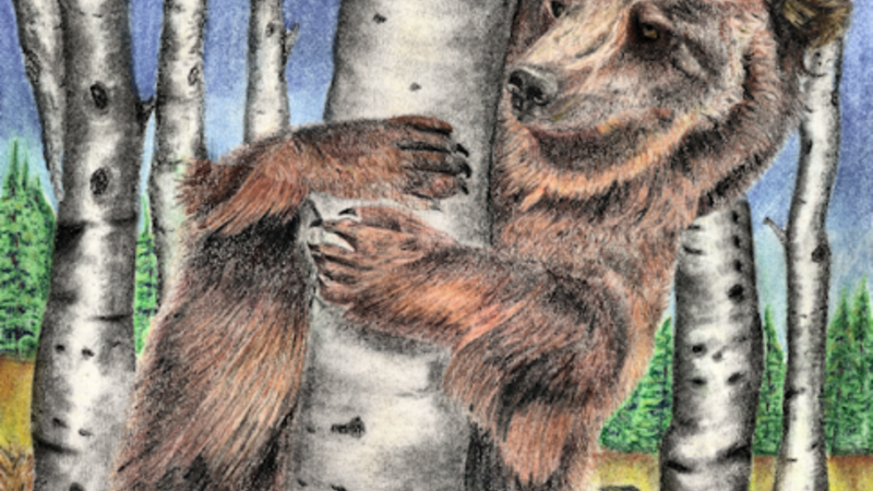 A Bear Hug
