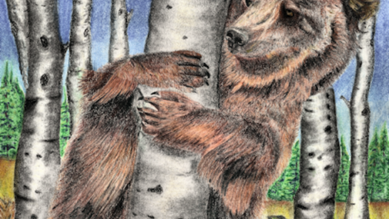 A Bear Hug