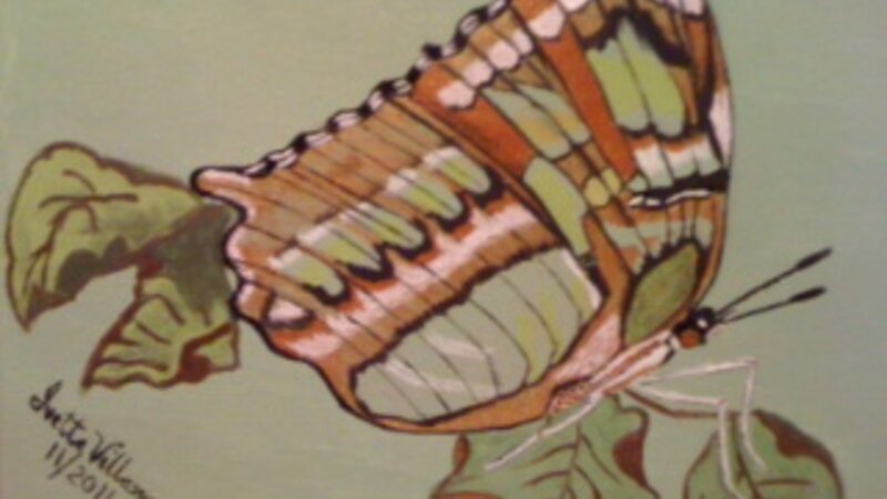"Bella Mariposa"