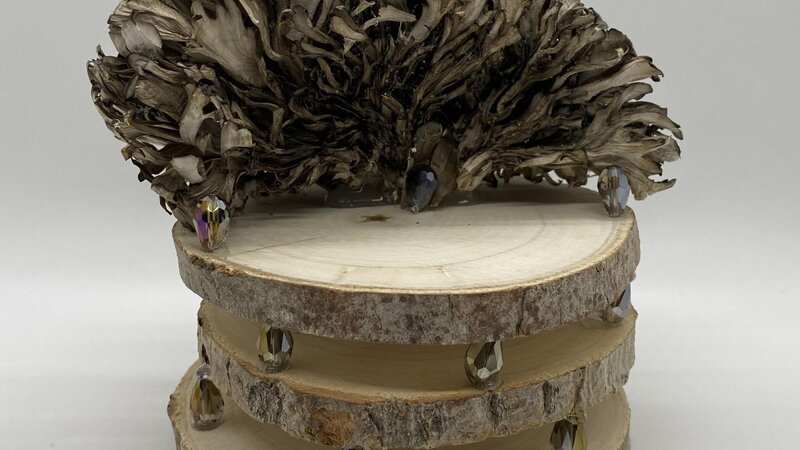 Out of the Woods Chair