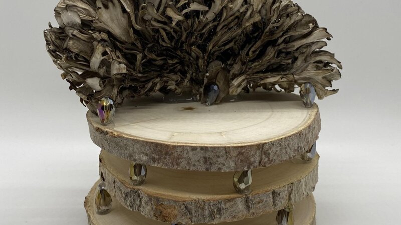 Out of the Woods Chair