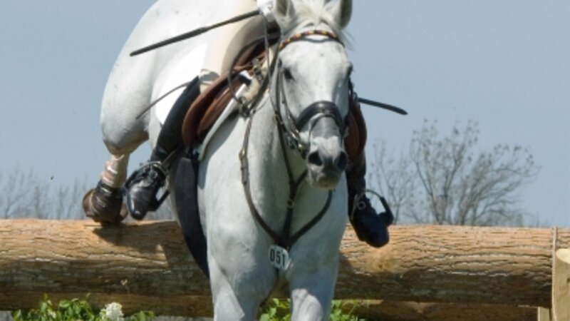 Jumping Bettina