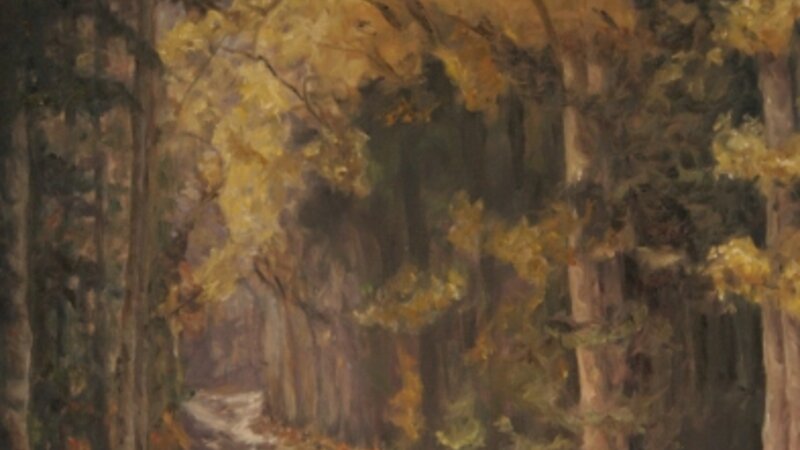 Beyond the Clorado Trail