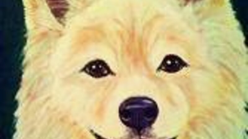Bijou