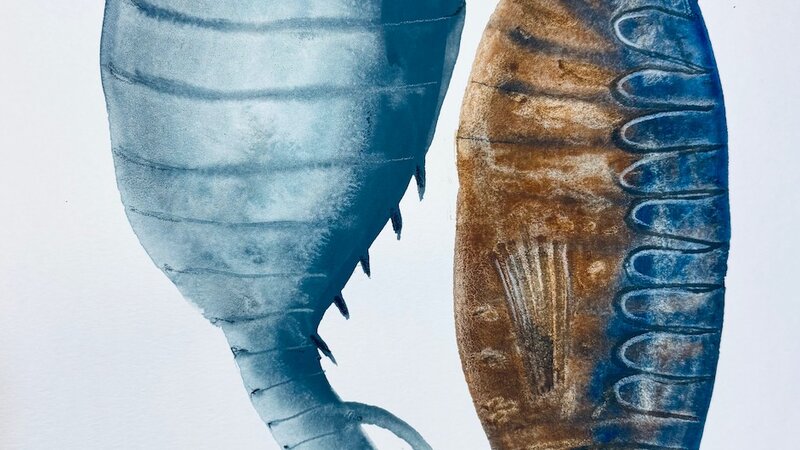 Fish Painting in gouache, November 24, 2024.