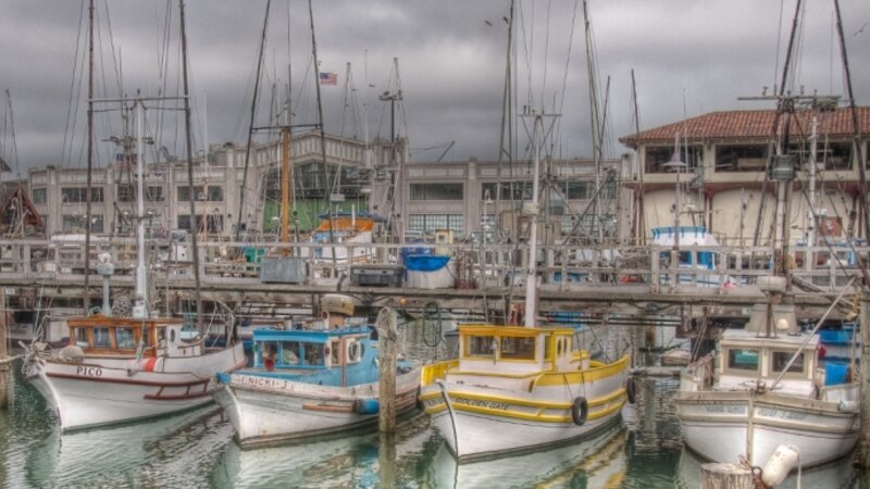 Safe Harbor
