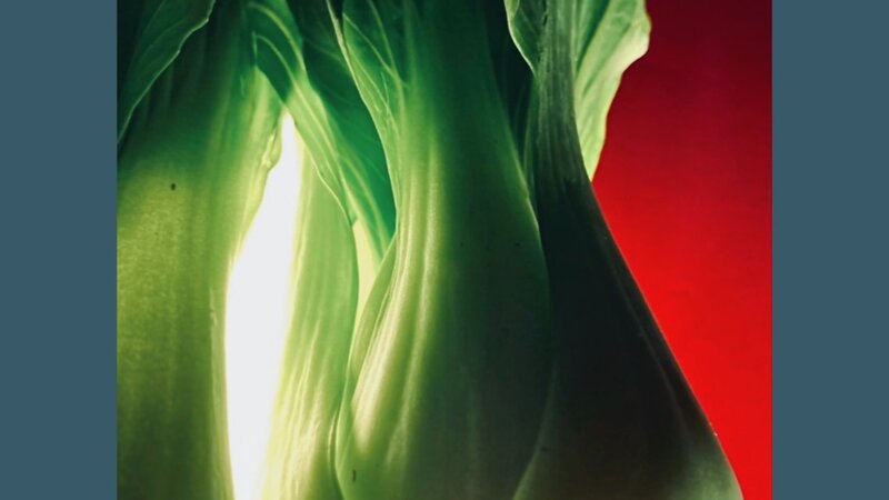 Photo of Bok Choy vegetable, October, 2024