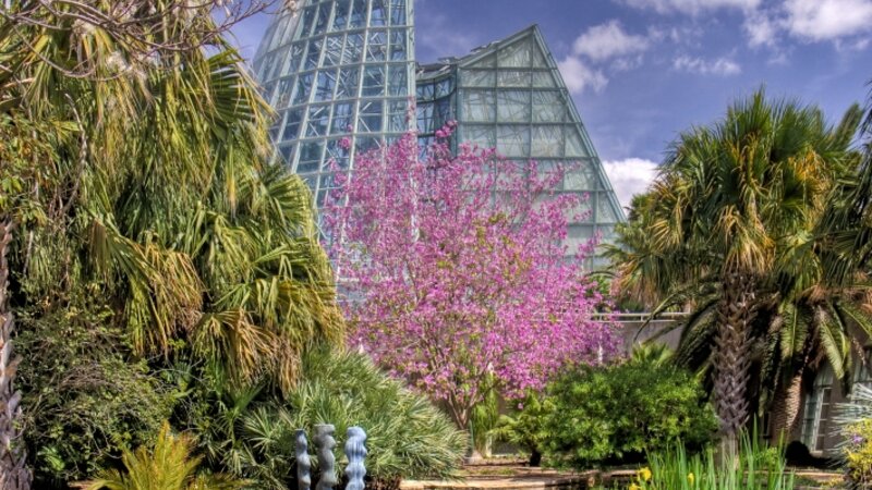 San Antonio Botanical Garden