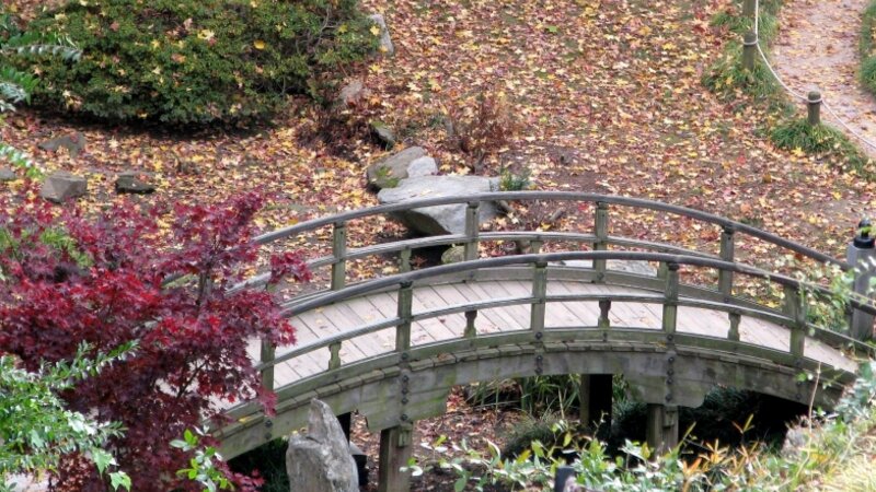 Japanesse Garden at Maymont Park, Richmond VA